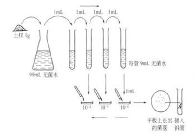 接种针和接种环区别图片